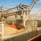 Cerealele, exporturi cu profit subțire: Câți bani au primit fermierii în România