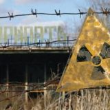 Viață misterioasă, descoperită la Cernobîl: Ce s-a întâmplat la 40 de ani de la dezastru