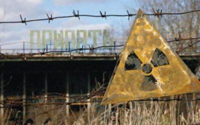 Viață misterioasă, descoperită la Cernobîl: Ce s-a întâmplat la 40 de ani de la dezastru