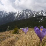 Ger cumplit de PAȘTE în România: Meteorologii ANUNȚĂ vreme grea