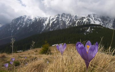 Ger cumplit de PAȘTE în România: Meteorologii ANUNȚĂ vreme grea