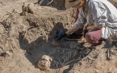 Amud 7, bebelușul neanderthalian: Dezvoltare-șocantă, mai rapidă decât a omului modern