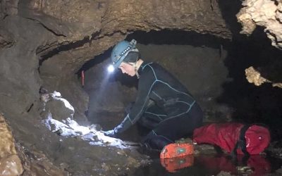 Descoperire monumentală în Texas: Un ecosistem preistoric sfidează teoriile științifice O peșteră din Texas a dezvăluit o colecție impresionantă de fosile, inclusiv specii de animale despre care se credea că nu au trăit în acea zonă, rescriind astfel înțelegerea oamenilor de știință despre ecosistemele din era glaciară