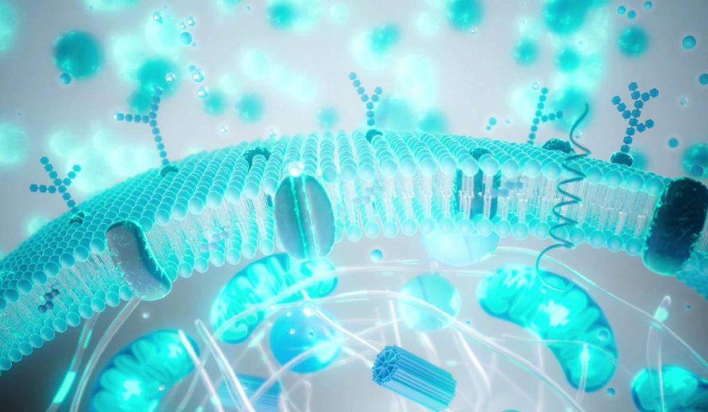 Balonare și greață după Paște? Ghid Rapid pentru digestie ușoară