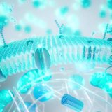 Balonare și greață după Paște? Ghid Rapid pentru digestie ușoară