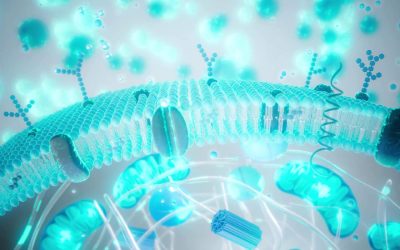 Balonare și greață după Paște? Ghid Rapid pentru digestie ușoară