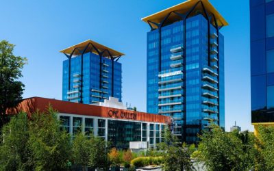 Branduri românești în imobiliare: De la cărămidă la experiență. Cum au reușit dezvoltatorii?