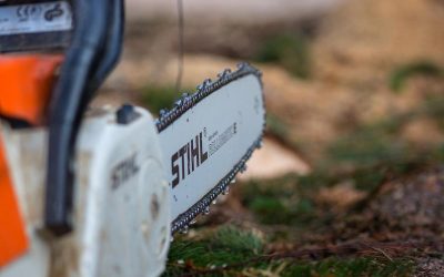 Bărbat din Alba, mort după ce s-a tăiat cu drujba: Dosar penal pentru ucidere din culpă