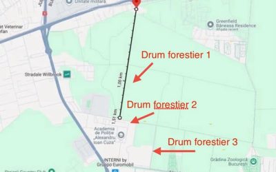 Demiteri la Silvică: Ministra Buzoianu cere capete după scandalul Pădurea Băneasa