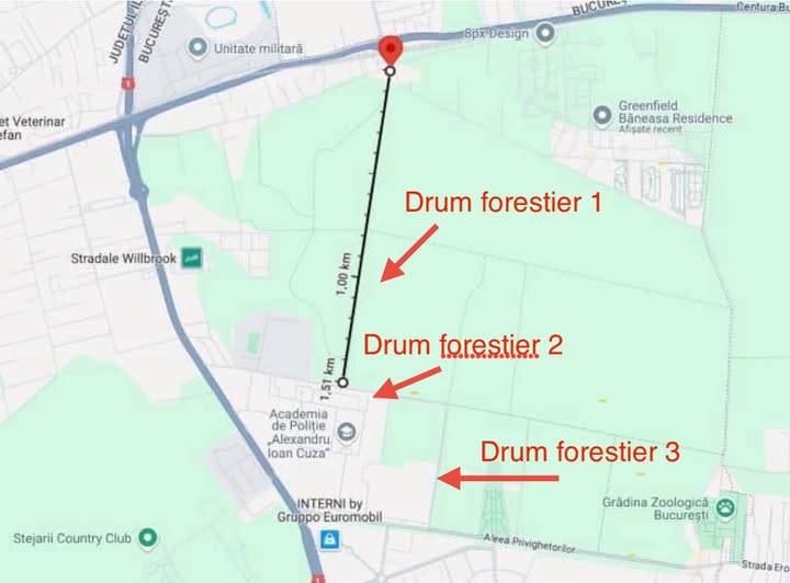 Demiteri la Silvică: Ministra Buzoianu cere capete după scandalul Pădurea Băneasa