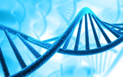 Cercetătorul care spulberă prejudecățile rasiale: Educația genetică, soluția?