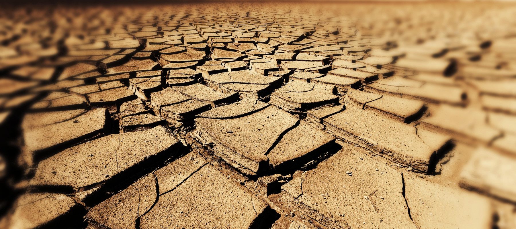 Seceta, noua amenințare: Bacterii rezistente la antibiotice se pot răspândi mai Rapid