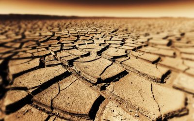 Seceta, noua amenințare: Bacterii rezistente la antibiotice se pot răspândi mai Rapid