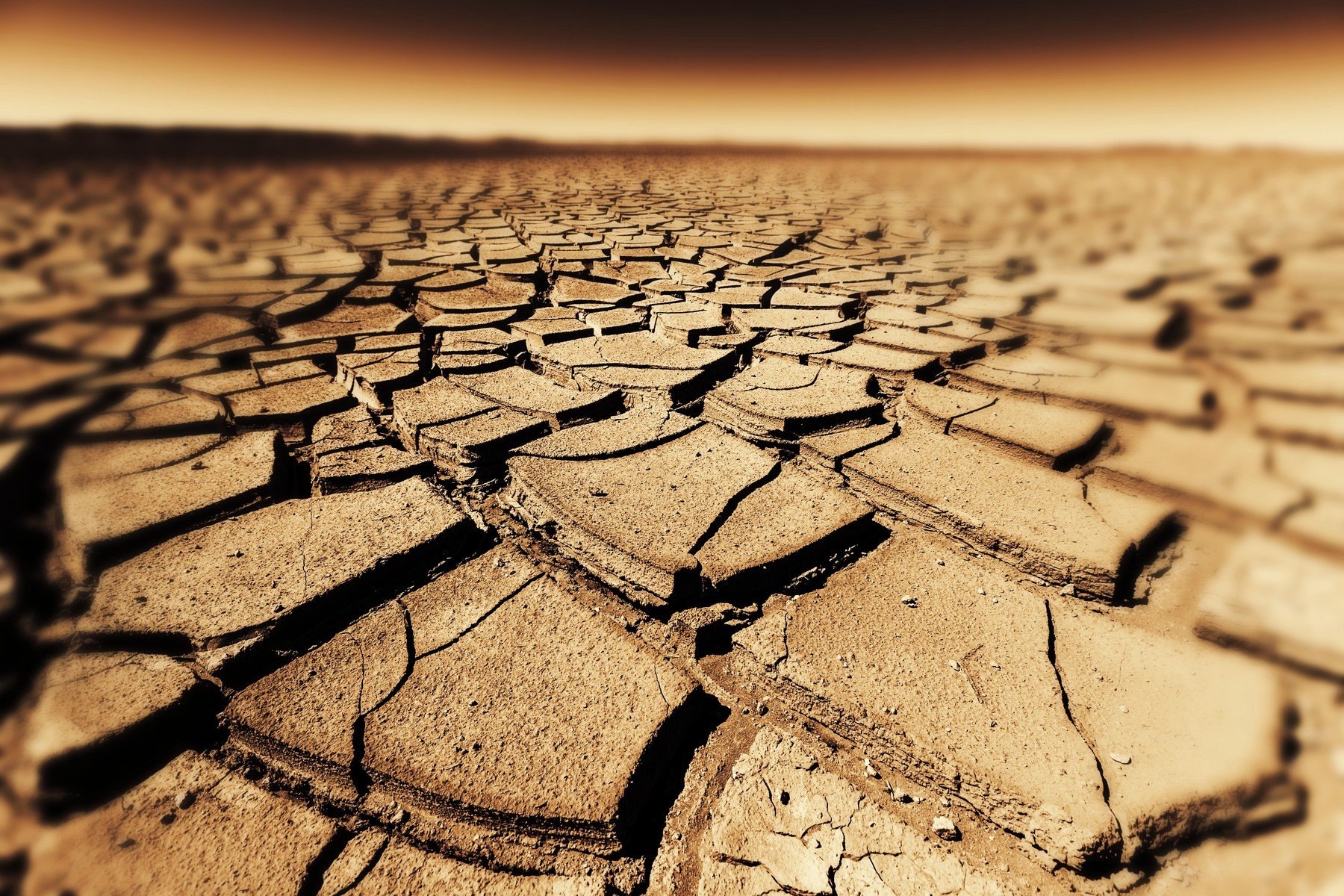 Seceta severă, o amenințare la adresa sănătății publice: bacterii rezistente la antibiotice în creștere Un nou studiu avertizează asupra unei potențiale legături periculoase între secetă și răspândirea bacteriilor rezistente la antibiotice