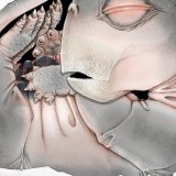 Strămoșii mamiferelor, surpriză! Depuneau ouă, dezvăluie un supermicroscop