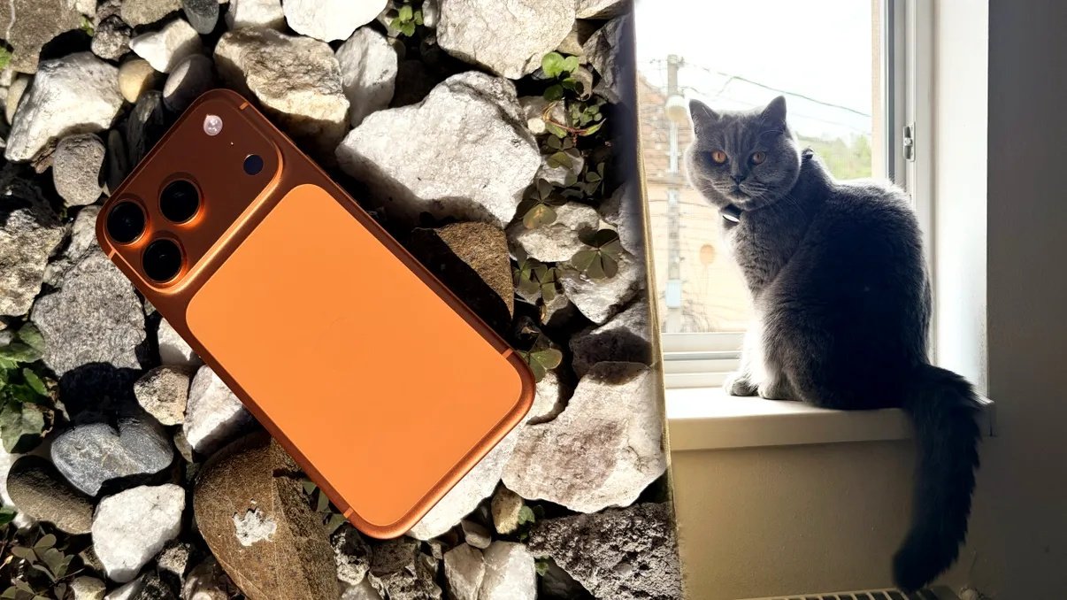 Transformă-ți animalul de companie în emoji personalizat pe iPhone Funcția „Live Stickers” introdusă de Apple odată cu iOS 17 permite utilizatorilor să transforme fotografii în stickere sau emoji-uri personalizate