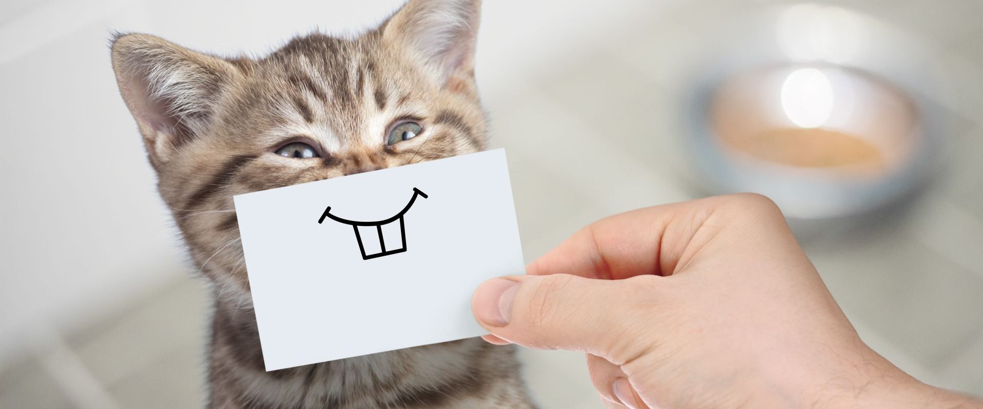 Umorul, secretul longevității: Râsul prelungește viața și o face mai frumoasă