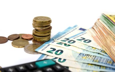 Bugetul României, lovitură grea: Subvențiile scad drastic din 2026, minus 20%