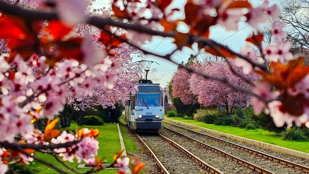 Primăvara bucureșteană debutează cu o serie de evenimente culturale care promit să satisfacă gusturile variate ale locuitorilor