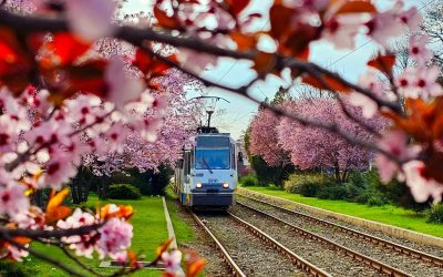 Maraton de evenimente în București: Ce nu trebuie ratat din capitală