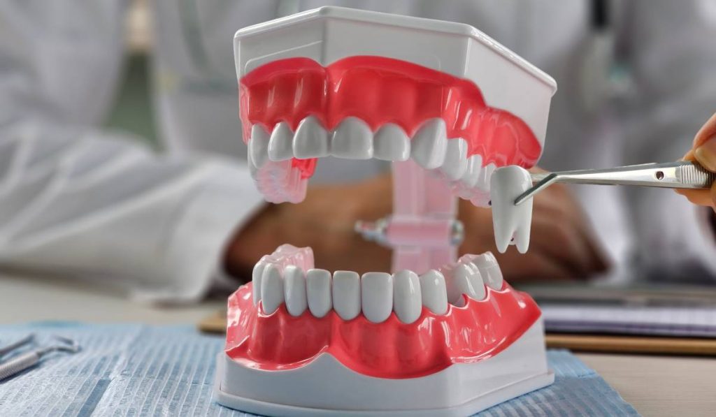 Extracție sau nu? Ortodonție: Doctorii dezvăluie secretele deciziei