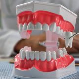 Extracție sau nu? Ortodonție: Doctorii dezvăluie secretele deciziei