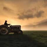 Fermierii, strigăt de alarmă: Guvernul și UE, „lăsați prostiile” și acționați