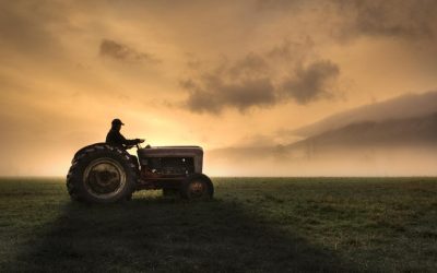 Fermierii, strigăt de alarmă: Guvernul și UE, „lăsați prostiile” și acționați