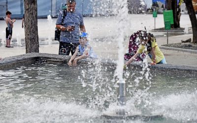 Reacția Sectorului 6: Primăria apără firmele cu un singur angajat