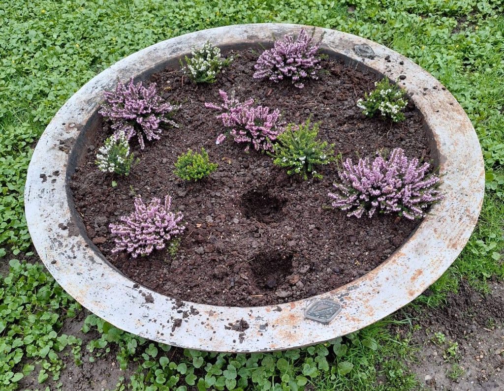 Flori furate din Cișmigiu: Poliția Locală intensifică patrulele după furtul florilor proaspăt plantate București – Poliția Locală a intensificat patrulele în Parcul Cișmigiu după ce sute de flori proaspăt plantate au fost furate în ultimele zile,