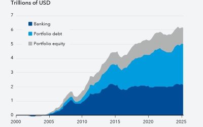 FMI: Piețe emergente, atracție pentru capital, dar riscurile cresc drastic
