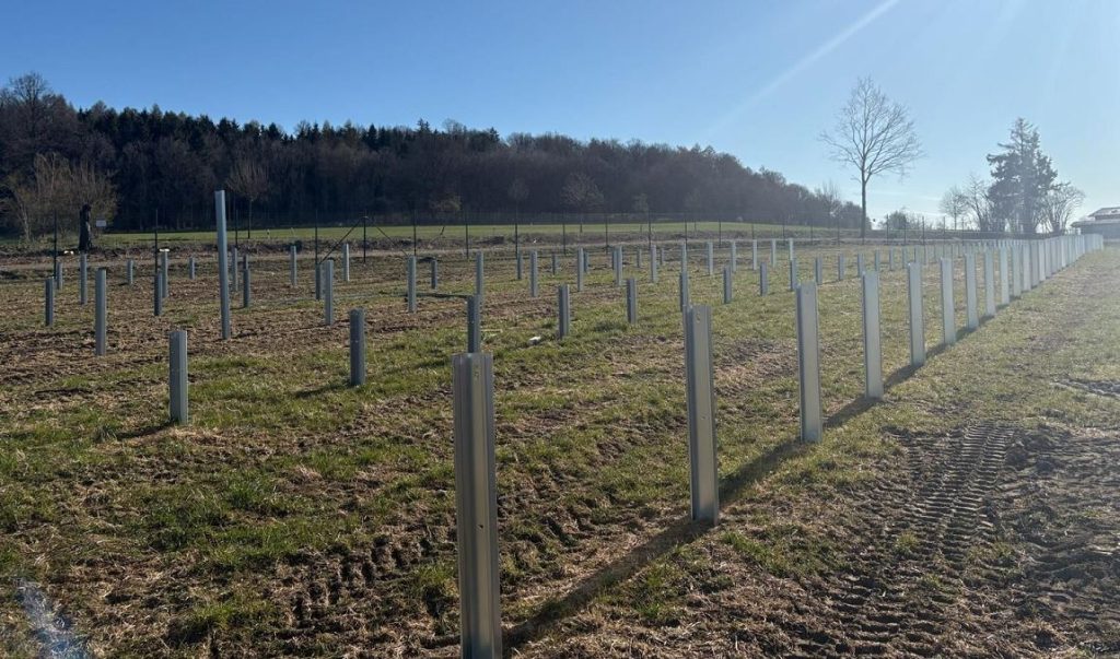 Români, succes în Germania: Ridică un parc fotovoltaic impresionant – FOTO