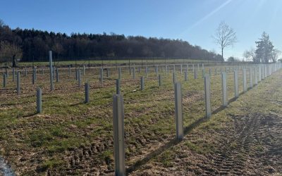 Români, succes în Germania: Ridică un parc fotovoltaic impresionant – FOTO