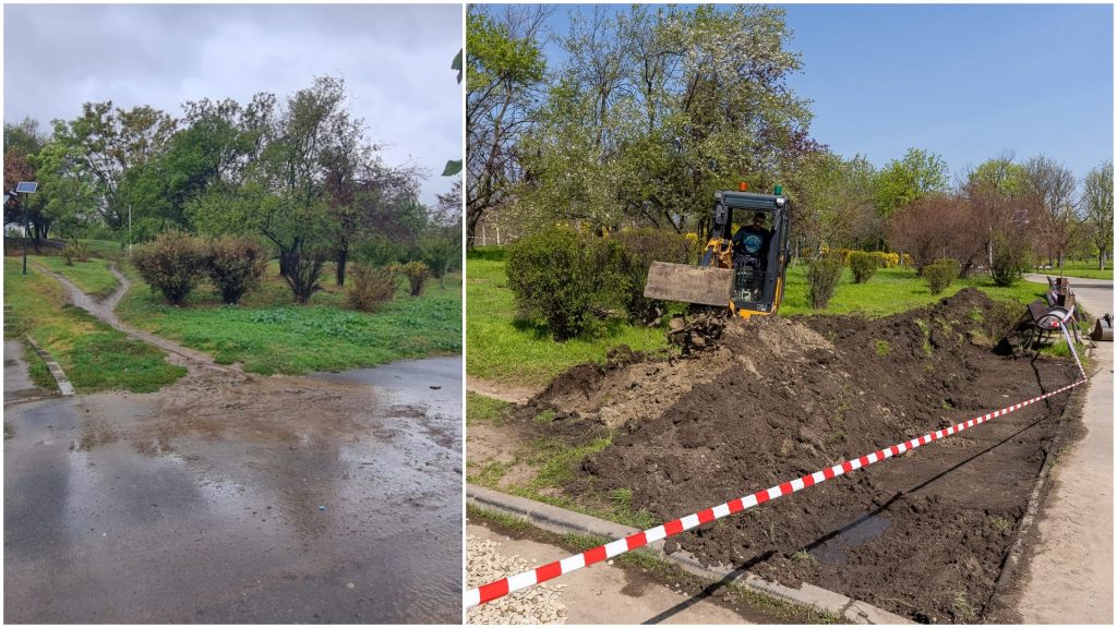 București: Parcul Tineretului, prima grădină de ploaie din Capitală