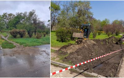 București: Parcul Tineretului, prima grădină de ploaie din Capitală