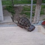 Grenadă Defensivă, Găsită pe Bulevard în Galați