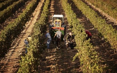 Spania legalizează 500.000 de imigranți: Cine se califică pentru statut legal