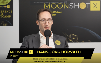 Horvath (Raiffeisen) sfătuiește firmele românești: Testare, nu investiții mari la început