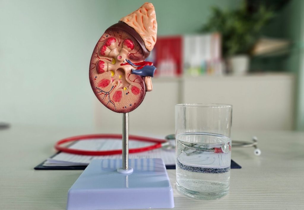 Obiceiul banal care-ți salvează rinichii: Recomandarea medicilor