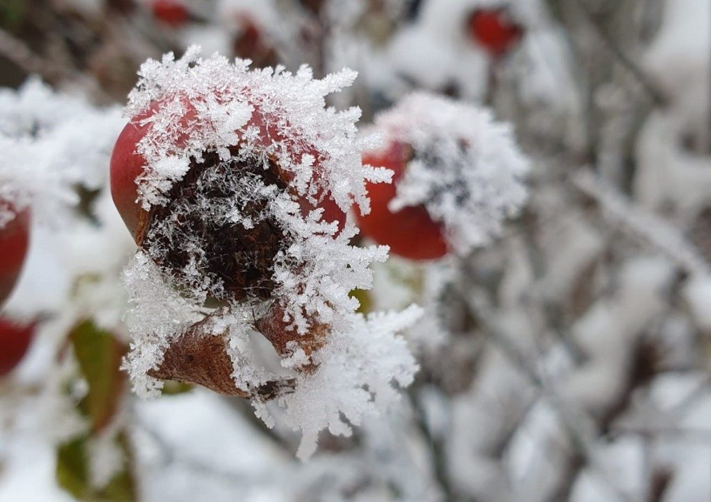 Meteo: Ninsoare de Paște în jumătate din România. Vezi zonele afectate
