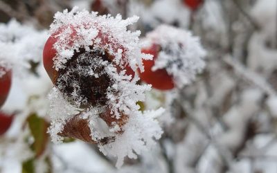 Meteo: Ninsoare de Paște în jumătate din România. Vezi zonele afectate