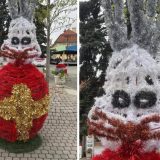 Iepurașii horror au scos BĂIMĂRENI din sărite: „Te doare mintea”, spun localnicii