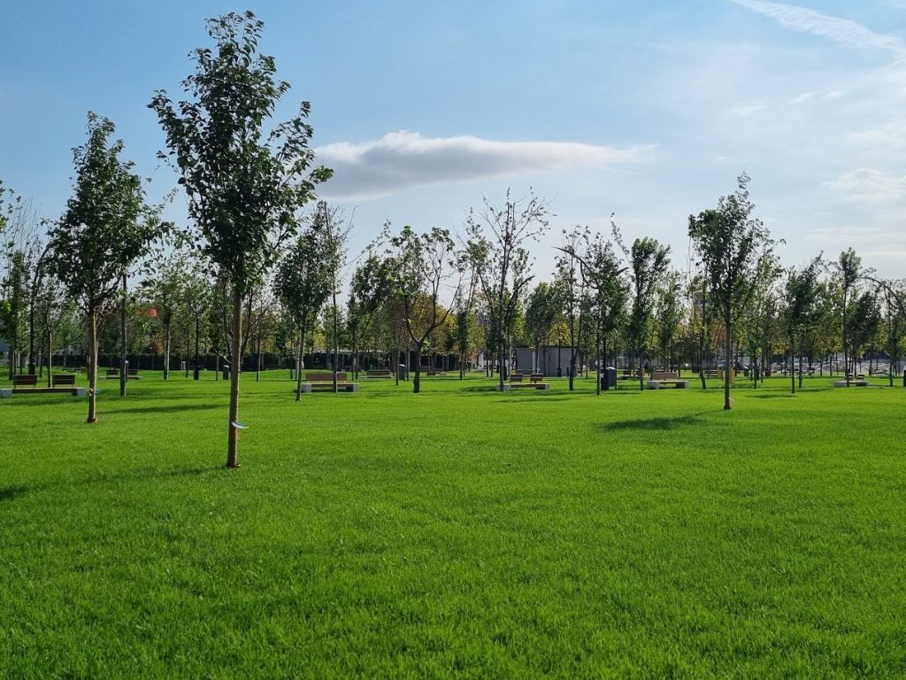 Băluță dă lovitura: Un parc din sectorul 4 va purta numele donald j Trump, după negocieri
