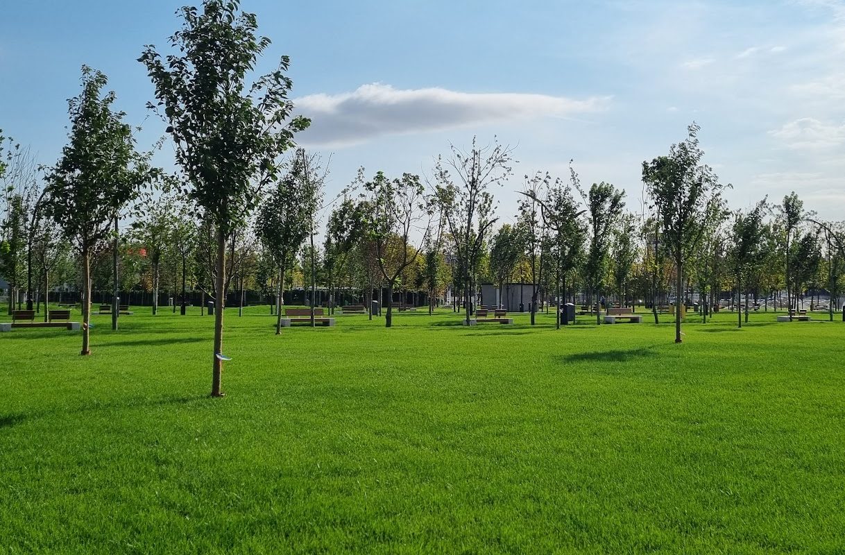 Băluță dă lovitura: Un parc din sectorul 4 va purta numele donald j Trump, după negocieri