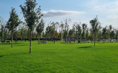 Băluță dă lovitura: Un parc din sectorul 4 va purta numele donald j Trump, după negocieri