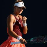 Două românce, pe tabloul principal la Rouen, Franța