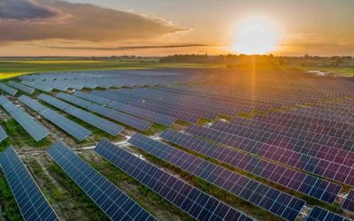 Prețuri NEGATIVE la energie: A șasea zi sub zero. Grafic exploziv