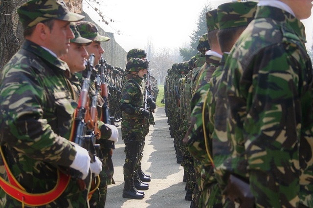 Ziua Forțelor Terestre: Ceremonie militară și religioasă în Parcul Carol din București