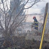Incendiu devastator într-un cimitir din Botoșani: Flăcările au pornit de la o lumânare
