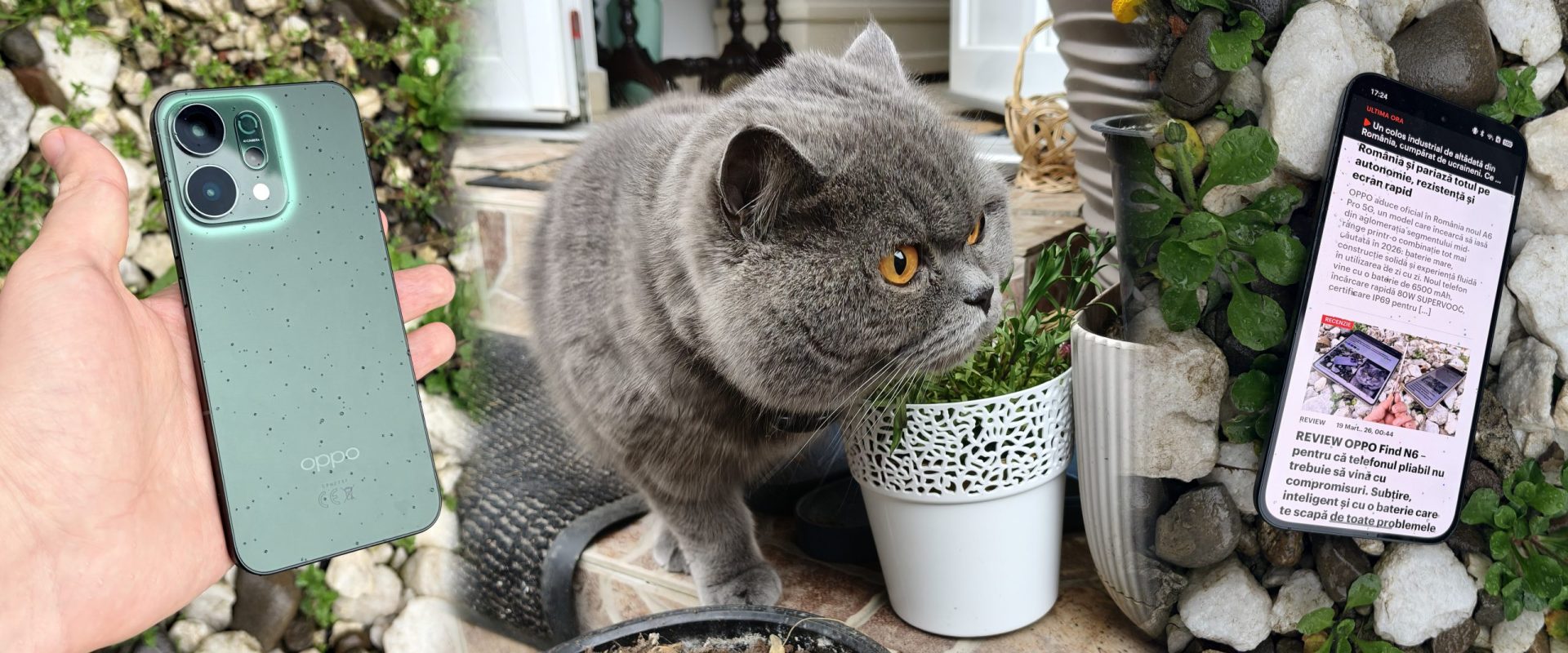 Oppo reno14 5g: Design original, ai și baterie excelentă. E liderul pieței